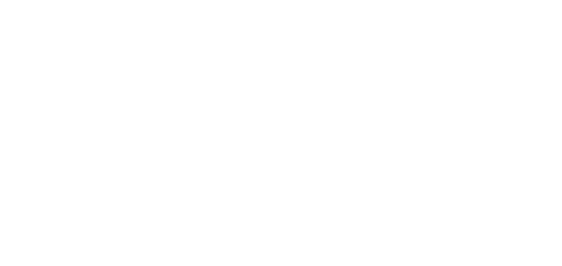 Microsoft Partner